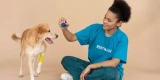 How Do Smart Pet Gadgets Help With Interactive Play and Engagement?
