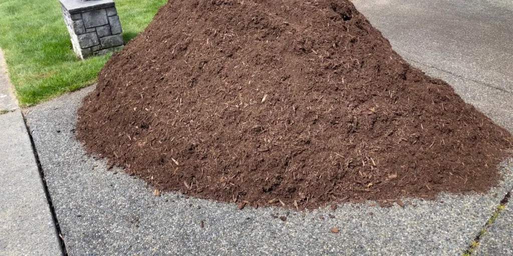 What Are the Best Organic Methods for Lawn Maintenance?